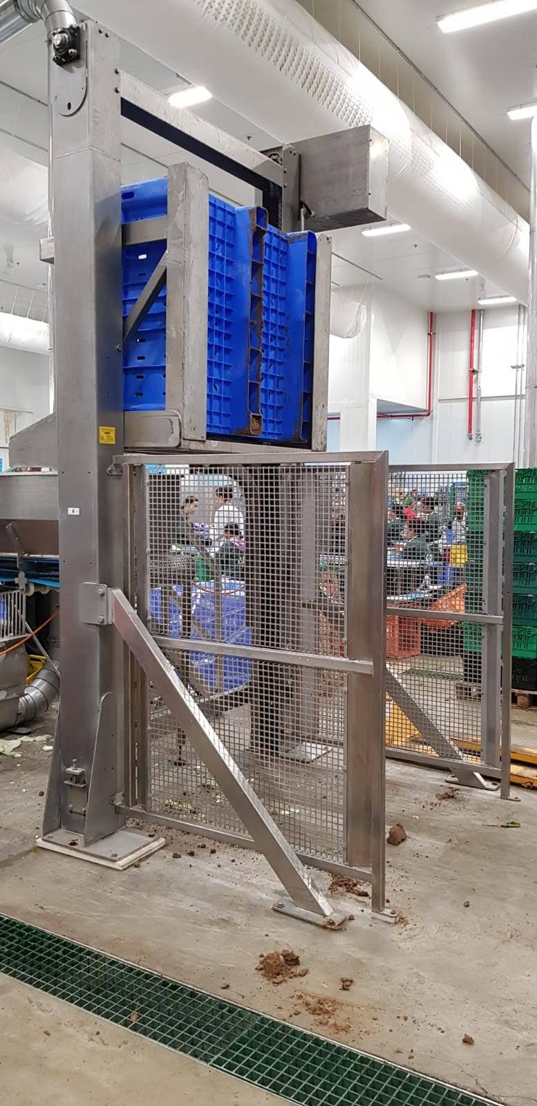 מהפך דולבים